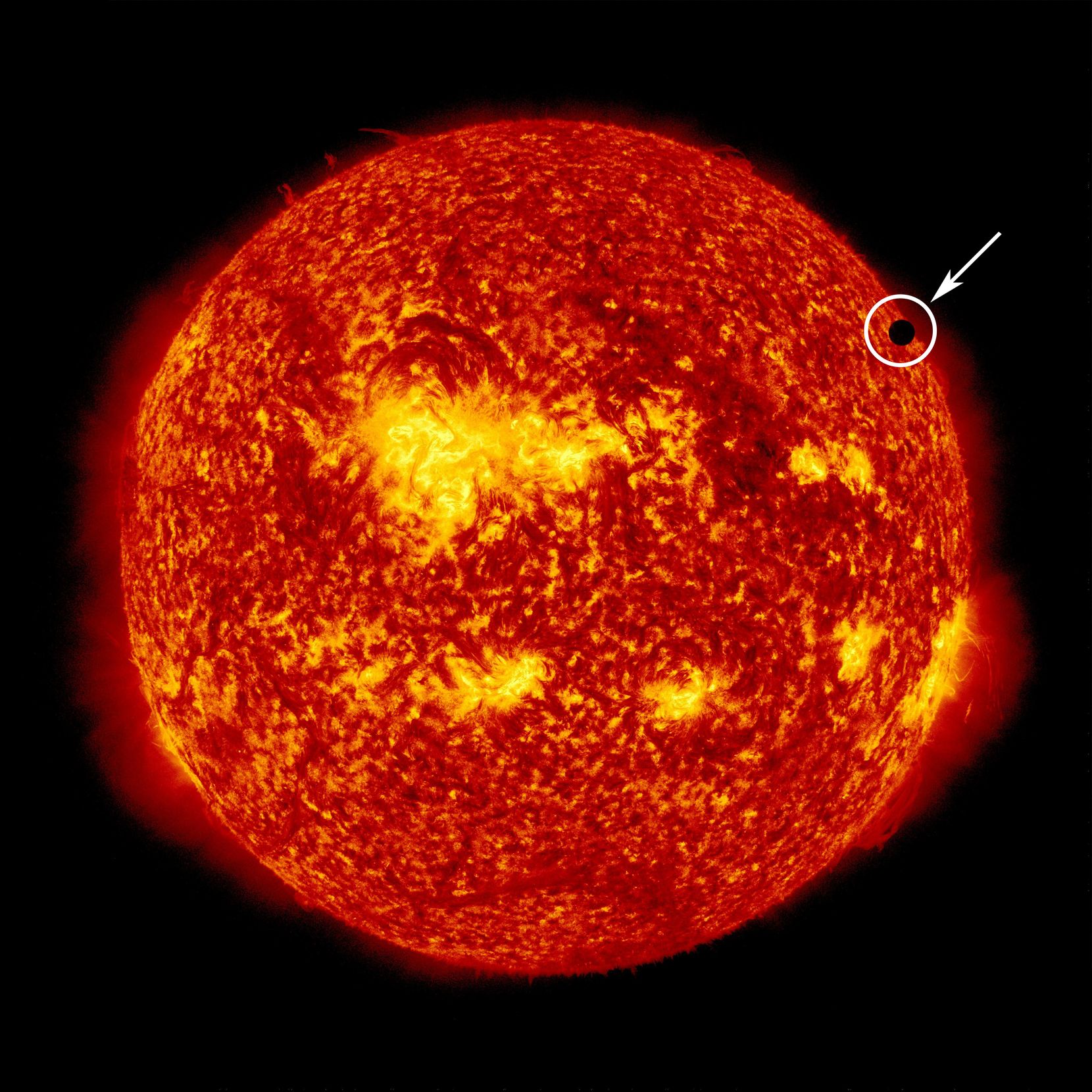 Ein Bild der Sonne mit einem kleinen schwarzen Fleck, der die Venus darstellt.